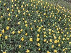 -长春公园(普阳街道)