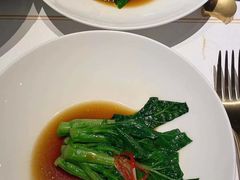 -觀芷隐轩