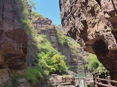 -洛阳白云山景区