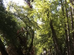 -宗角禄康公园
