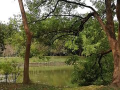 -华南国家植物园-售票处