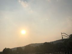 -苏州城市学院