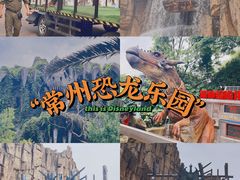 -中华恐龙园
