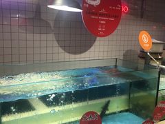 活鳗鱼-日进一片海.生腌海鲜火锅.宵夜烧烤(三里屯总店)