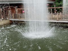 -呀路古热带植物园