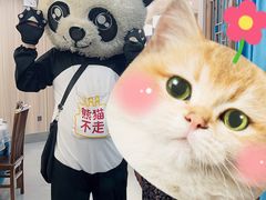 -熊猫不走蛋糕（同城送）(长沙店)