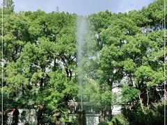 -上海交通大学医学院附属瑞金医院(总院)