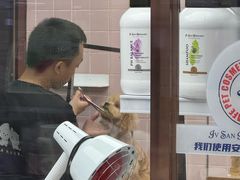 -FAELING PETS美天灵宠物(富力广场店)