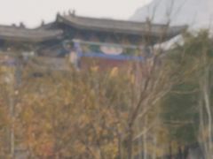 -天涯山
