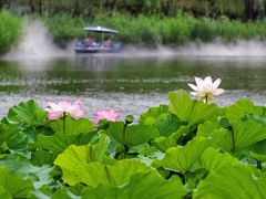 -西海子公园