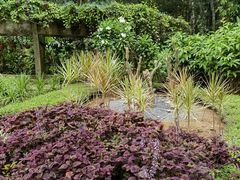 -中国科学院西双版纳热带植物园