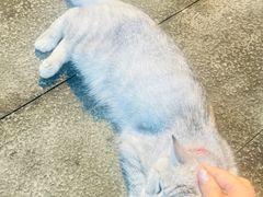 -大唐贡茶院