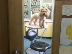 -瑞派宠物医院·24小时骨科·心脏·核磁(哈尔滨南岗店)