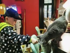 -猫色咖啡·猫咖