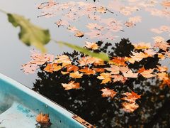 -兰溪青年公园