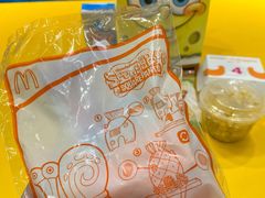 -麦当劳(红旗路店)