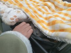 -联合动物医院(光谷诊疗中心)
