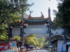 -南海湾森林生态园