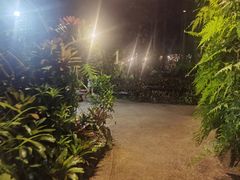-绿光森林餐厅