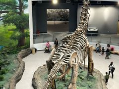 -辽宁古生物博物馆