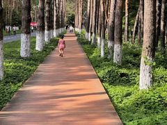 -黑龙江省森林植物园