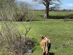 -新疆那拉提国家旅游度假区