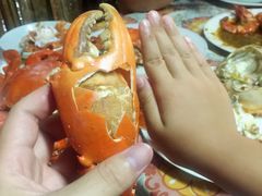 -D'Talipapa