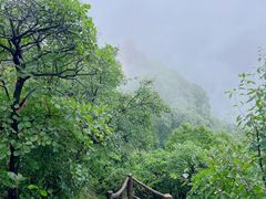 -秦岭终南山世界地质公园翠华山景区