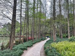 -黄兴公园