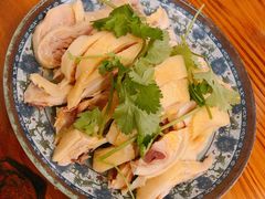 -九斤黄三黄鸡专卖店