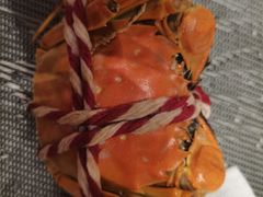 -张江海科雅乐轩聚聚乐