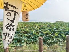 -七的湖·晚芳亭·阳澄湖农家菜·大闸蟹(莲花岛店)