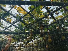 -新安江山水画廊风景区