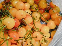 -旺角小渔村(二马路店)