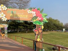 -北京野生动物园