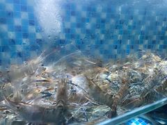 -农汤老店(顺联公园里店)