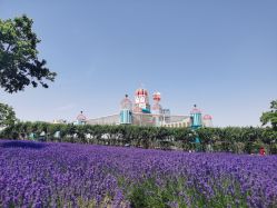 -季高兔窝窝亲子园(上海薰衣草公园店)