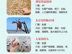 -巧克力渔家.小船海鲜胶东菜(万平口店)