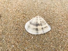 -嵊泗基湖沙滩
