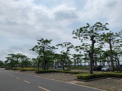 -芒洲湿地公园