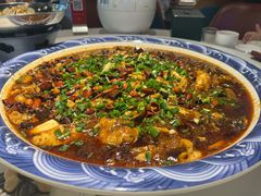 -新概念来凤鱼(璧山店)