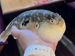 -永安鱼庄·镇江菜(丁卯店)