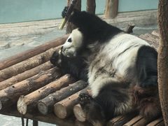 -青藏高原野生动物园