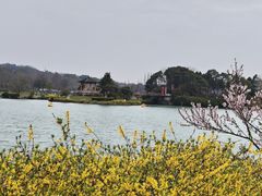 -宜兴龙背山森林公园