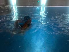 -无锡新湖铂尔曼大酒店