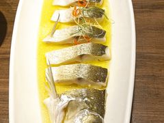 清蒸鲜白鱼-锡和无锡菜(景丽苑店)