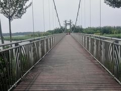 -西青郊野公园