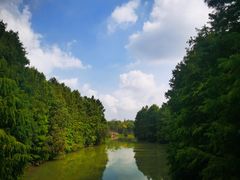 -上海海湾国家森林公园