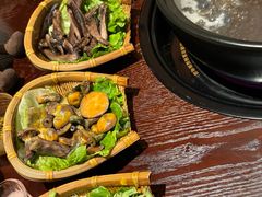 -滇野云南野生菌餐厅(陕西南路店)