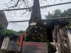 -吴记老字号辣汤饭